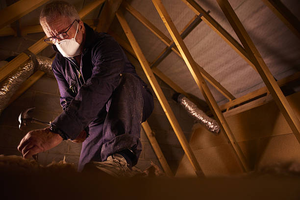 Best Insulation Installation Services in Lisbon, ME